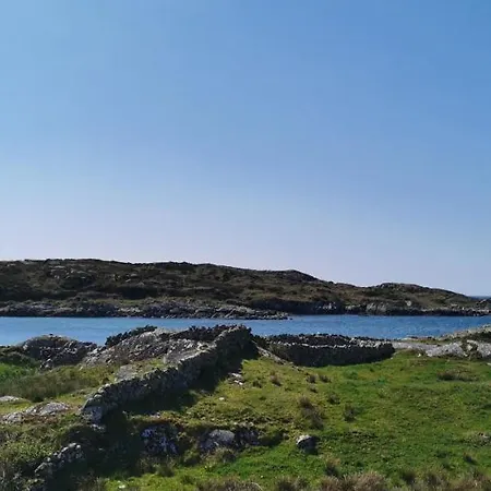 Gaoth Saile